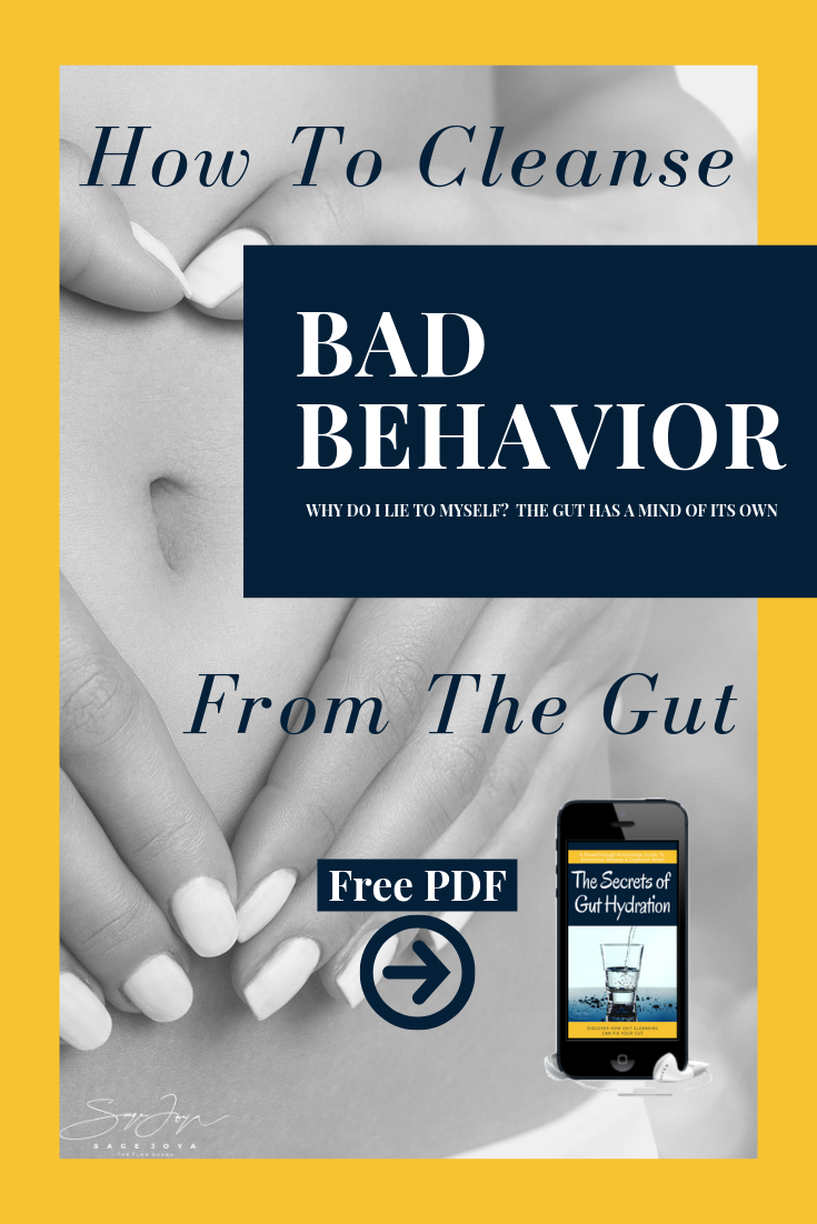 gut brain axis, gut brain connection, brain gut connection anxiety, psychobiotics, how to improve gut microbiome, gut flora